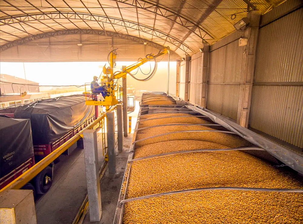 Coletor de Amostras com Deslocamento – SAUR