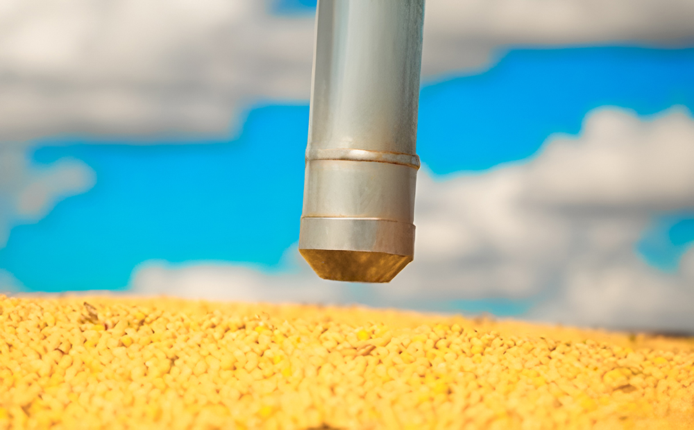 Modelos de Hastes para Coletores de Amostras – SAUR