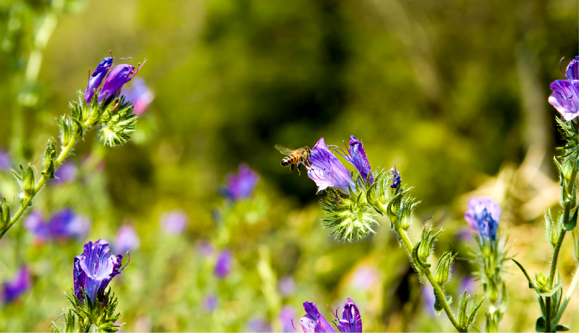 Movimentar riquezas e gerar emprego e renda de forma responsável